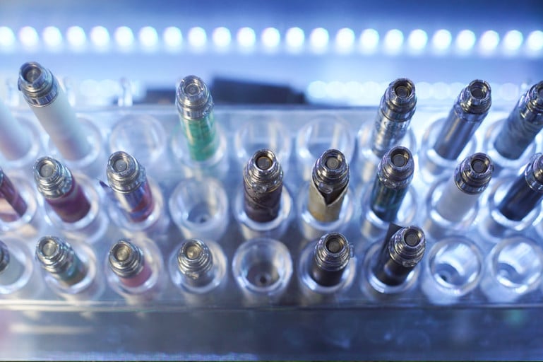 Key Factors That Can Develop Your Herb Business