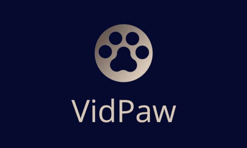 vidpaw twitter video download