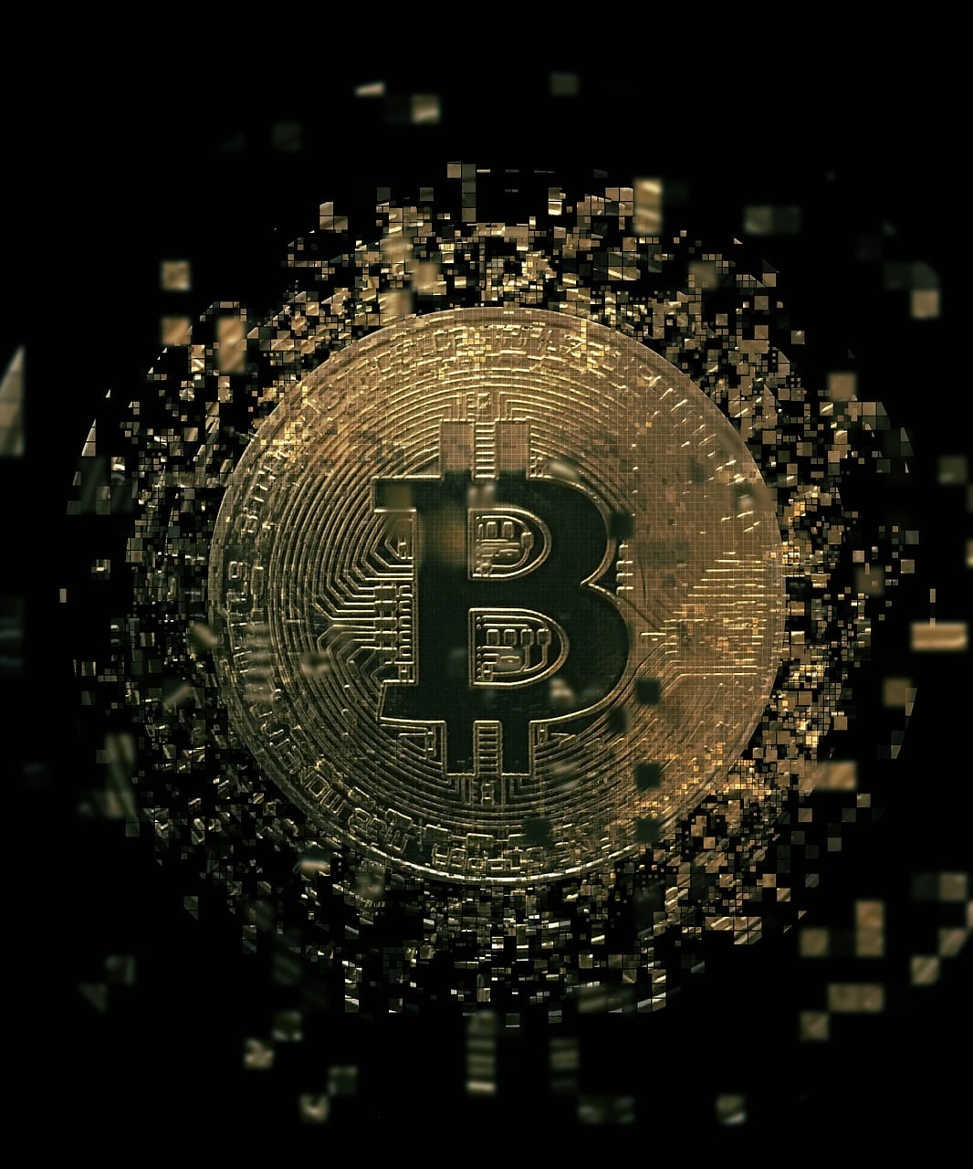 Market Update Bitcoin Dive Article Image