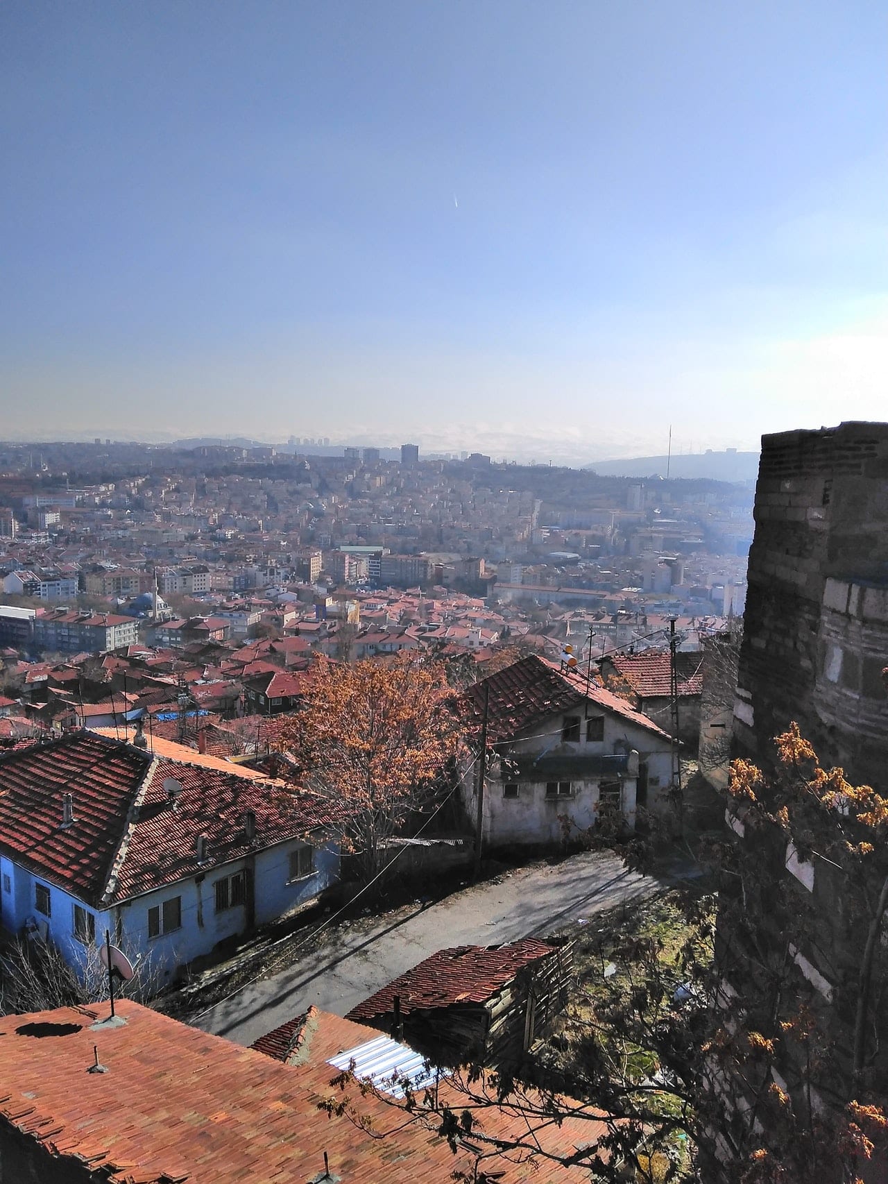 To Do Replace Roof Article Image