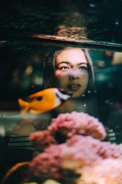 Aquarium In Room Benefits Image2