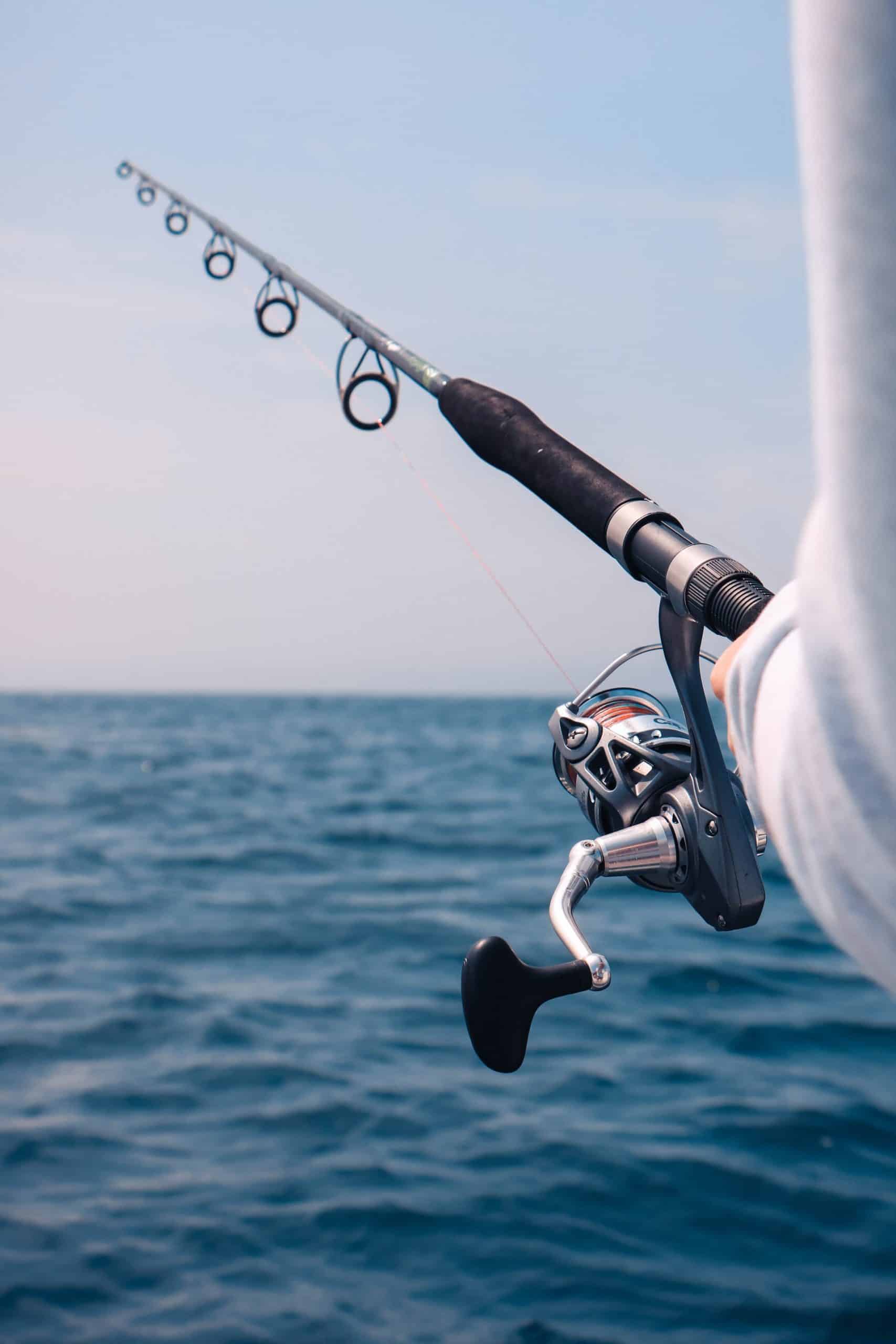 Types Fishing Reel Article Image