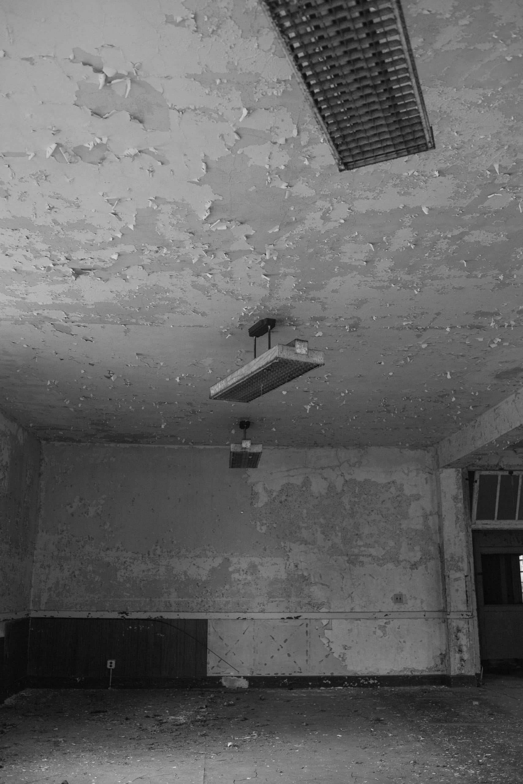 Commercial Mold Remediation Article Image