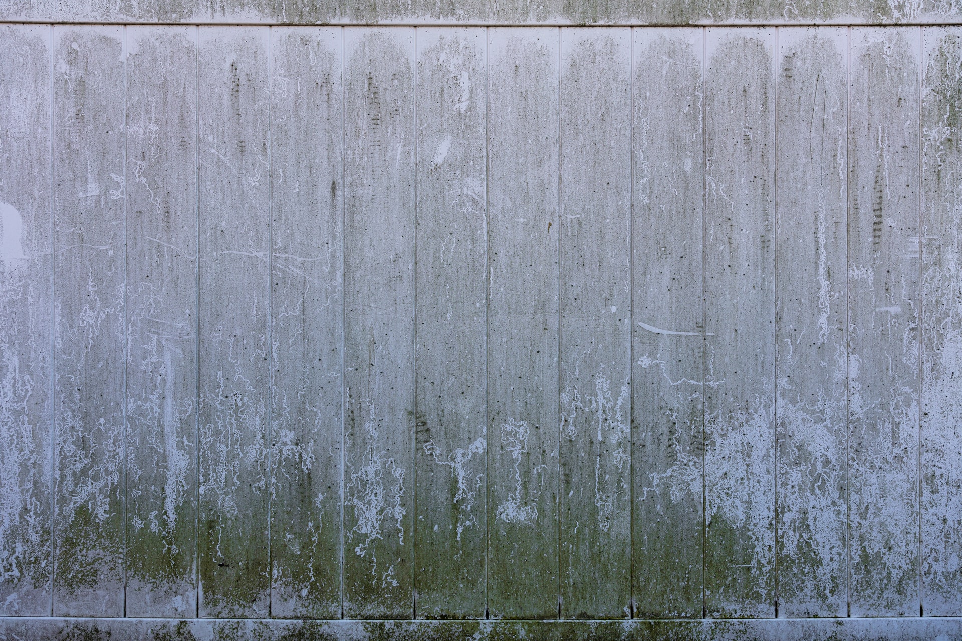 Commercial Mold Remediation Header Image