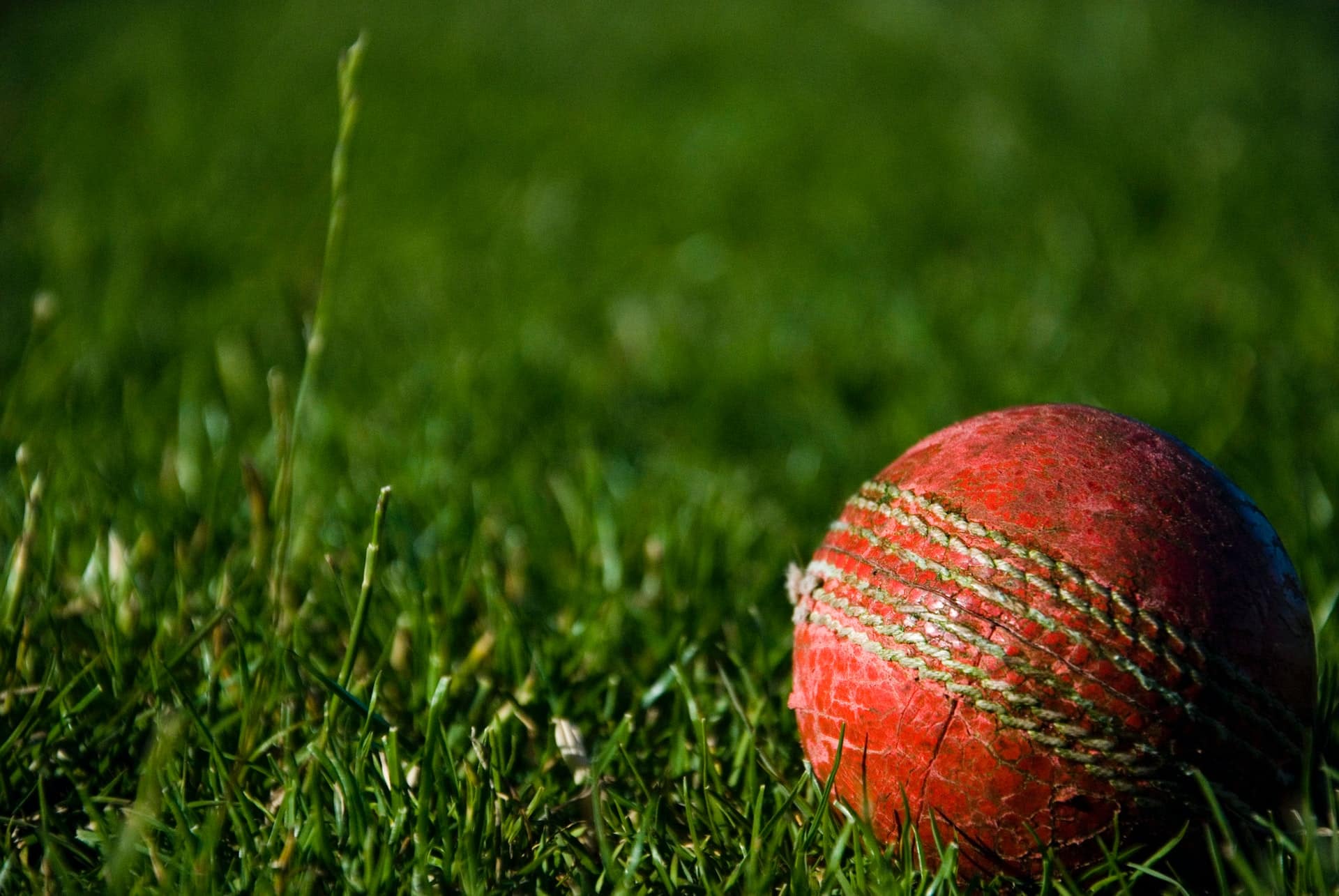 Cricket 22 Game Header Image