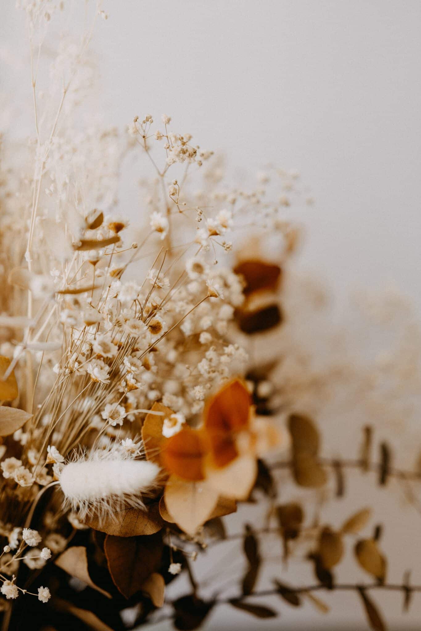 Flowers In Your Business Room Dried Flowers Interior Trend Bit Rebels