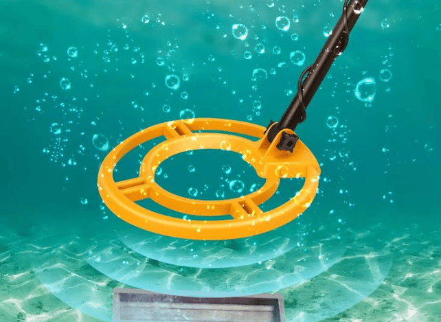 RM Ricomax Metal Detector Header Image