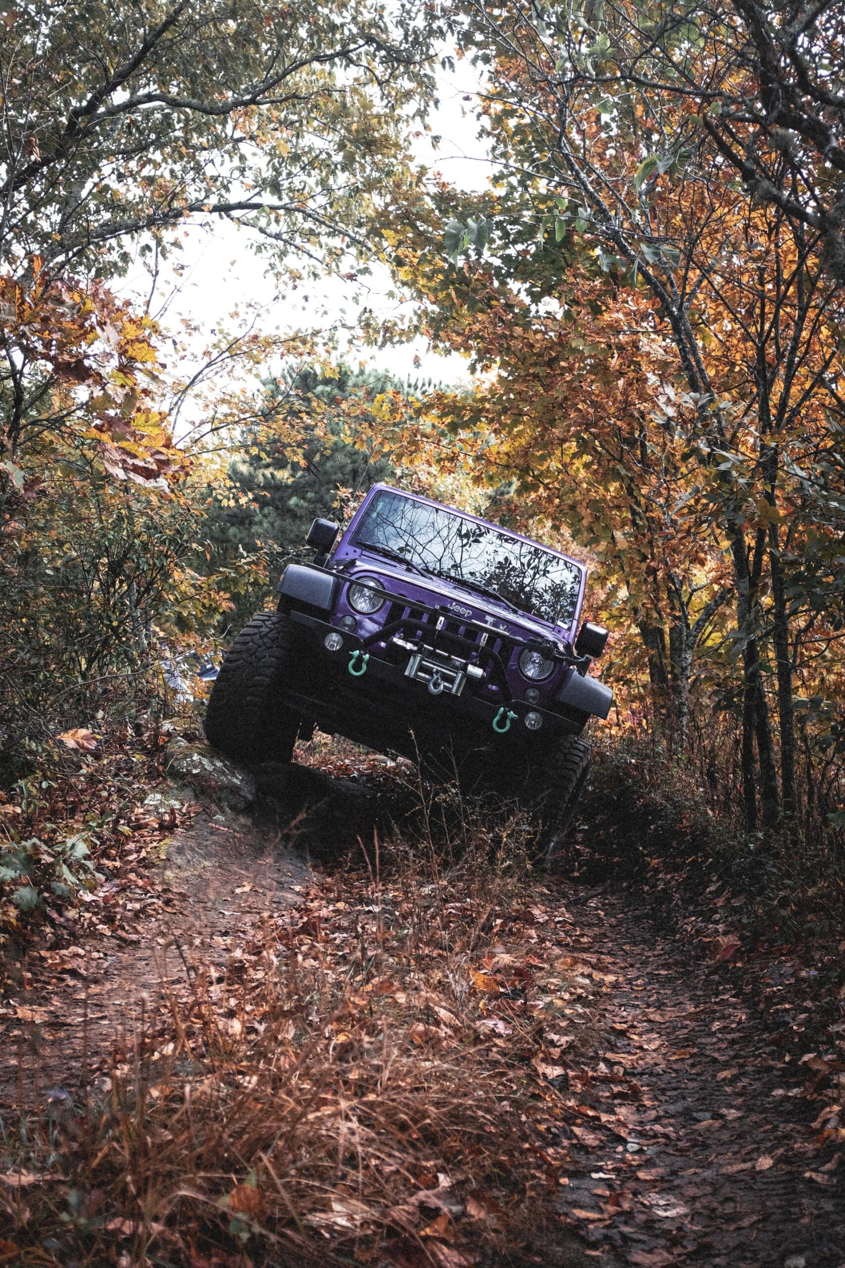Tips Off-Roading Jeep Article Image