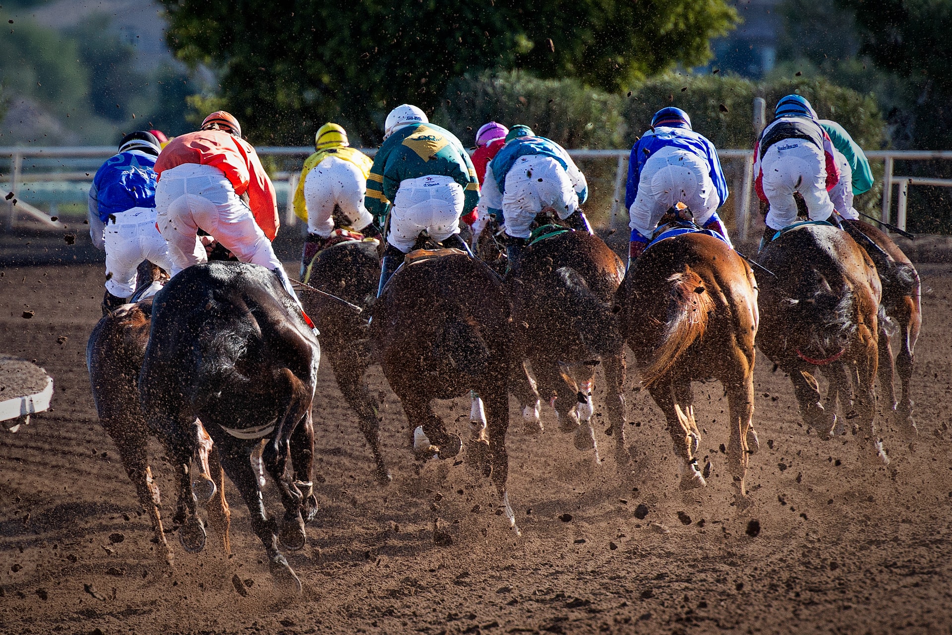 Horse Racing App Header Image