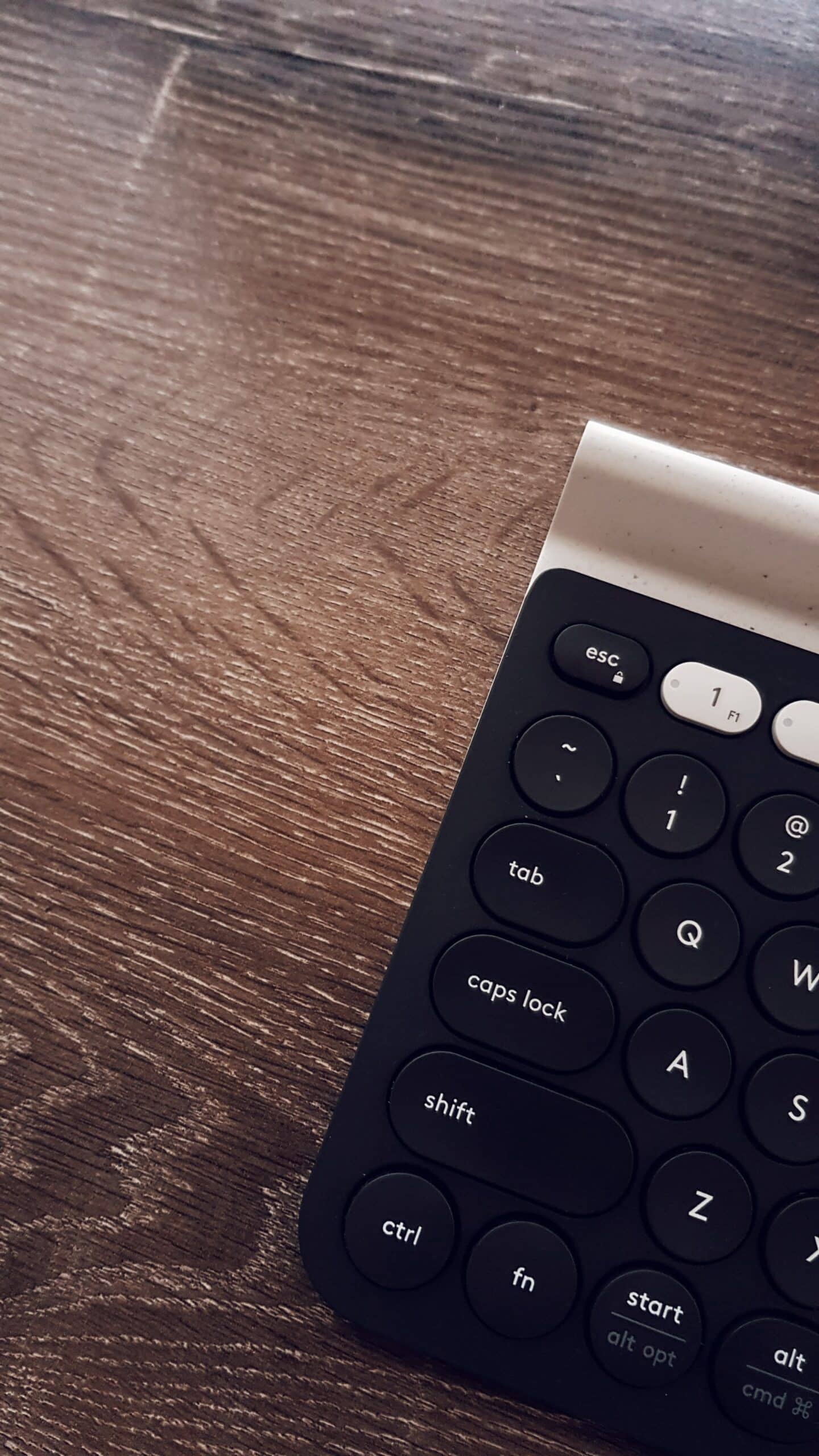 How Professionally Edit Essay Article Image