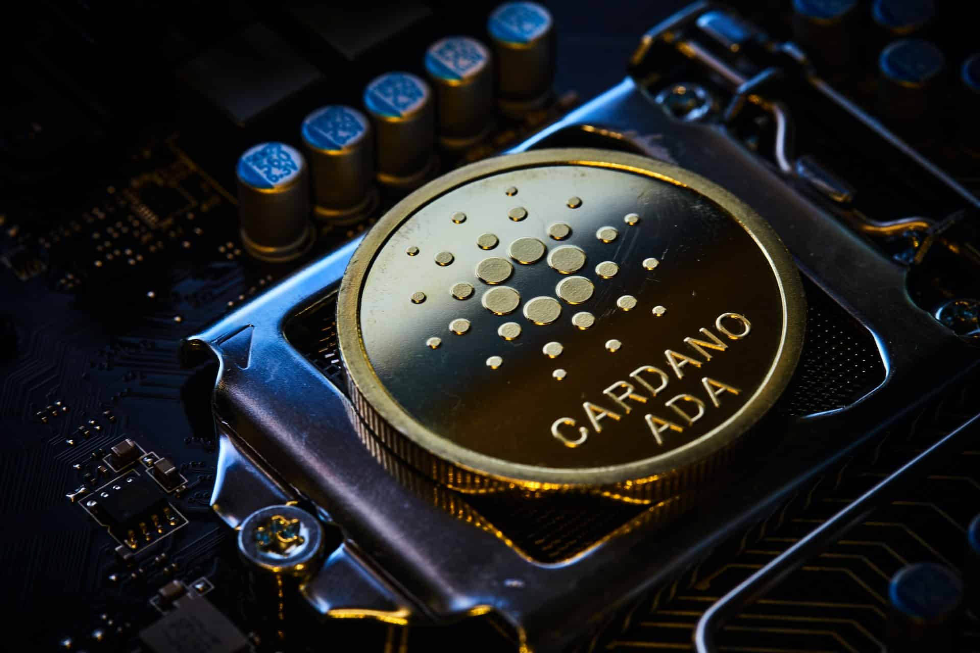 Cardano Blockchain Guide Header Image