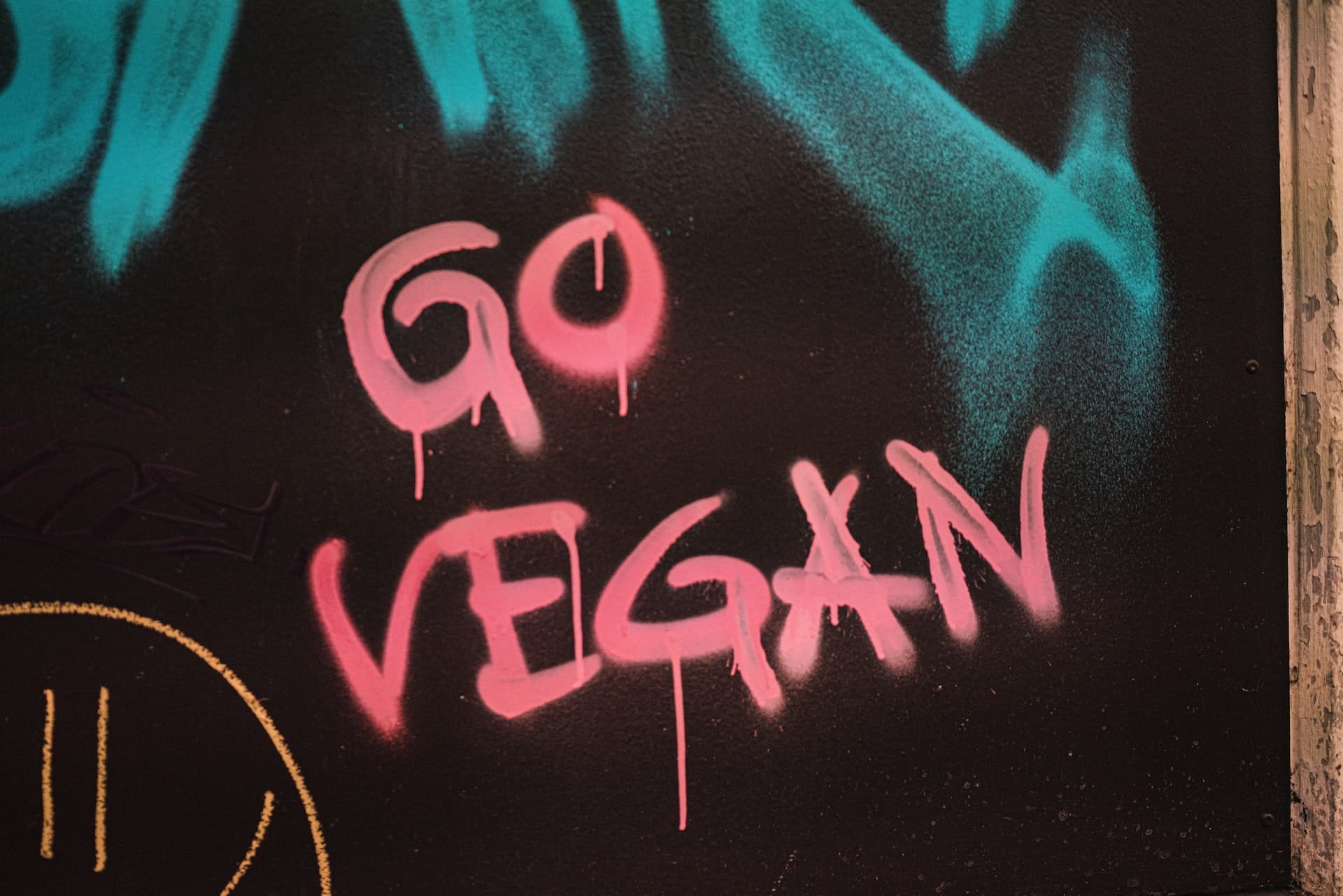 Reasons Go Vegan New Year Header Image