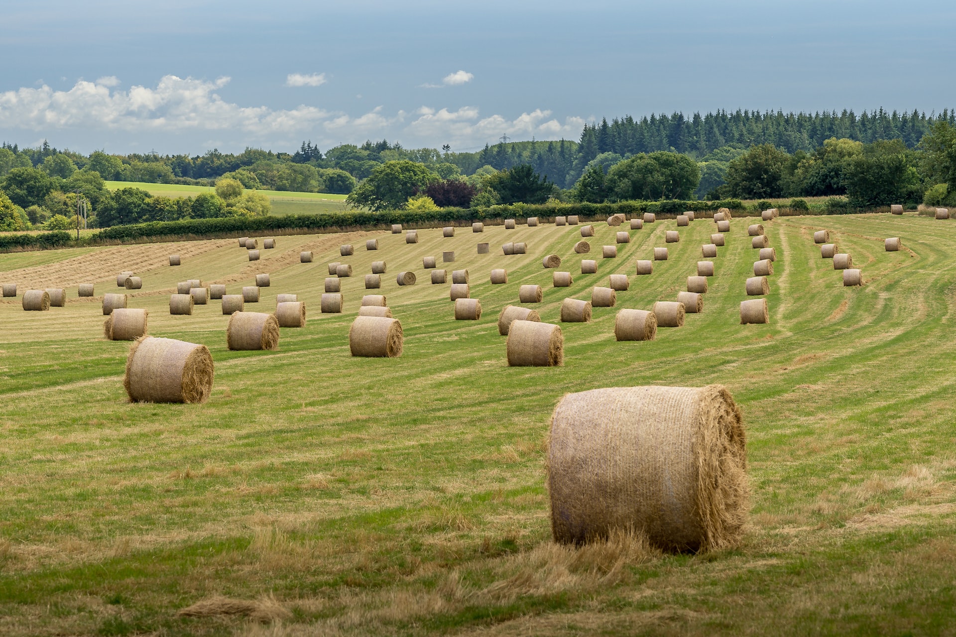Baling Wire Agriculture Header Image