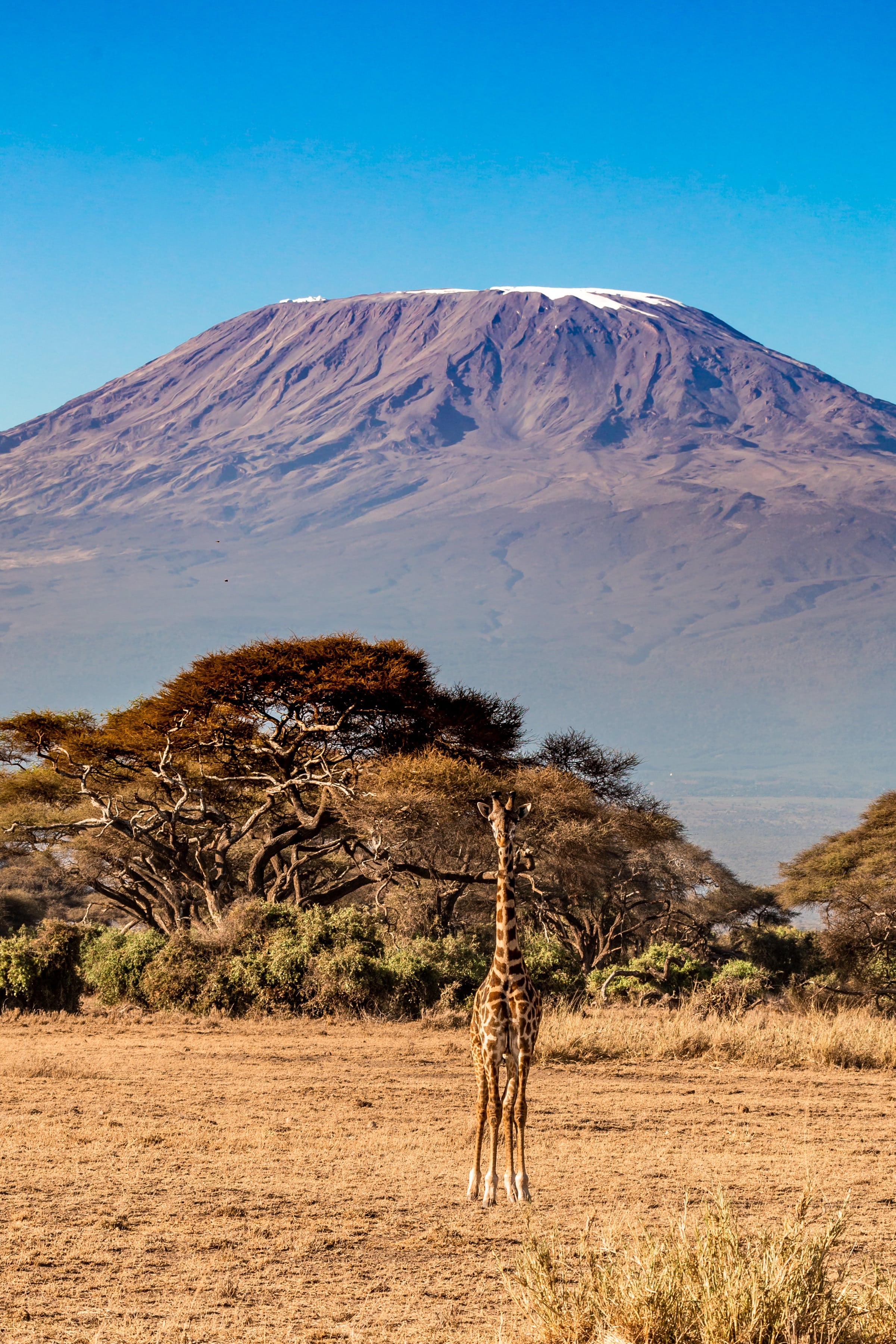 Altitude Sickness Understanding Preventing Climbing Kilimanjaro