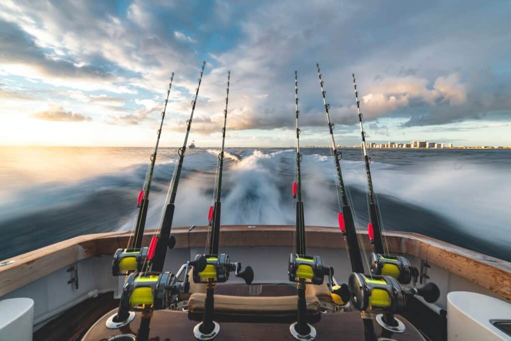 A Deep Dive Into The Use Of AI Technology In Fishing