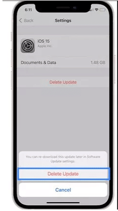 Update Requested Fix iPhone Image11