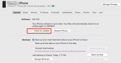 Update Requested Fix iPhone Image12