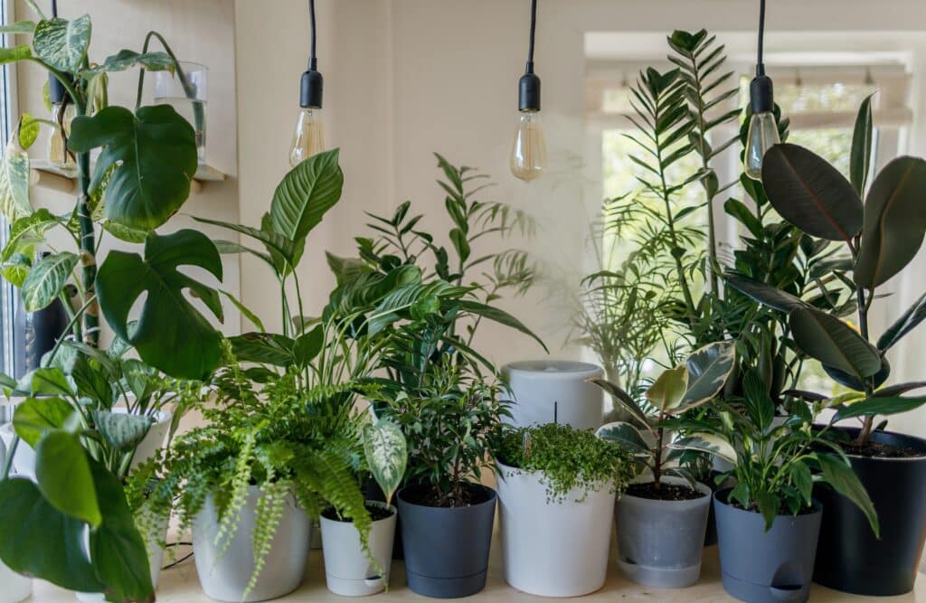 Indoor Gardens Art Incorporating Greenery Home Design