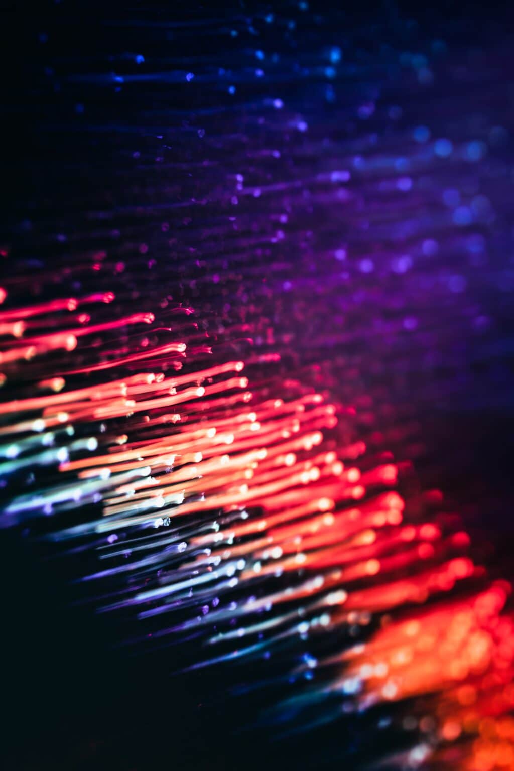 Avoiding Digital Disasters Cybersecurity Basics Entrepreneurs Avoiding Digital Disasters Cybersecurity Basics Entrepreneurs