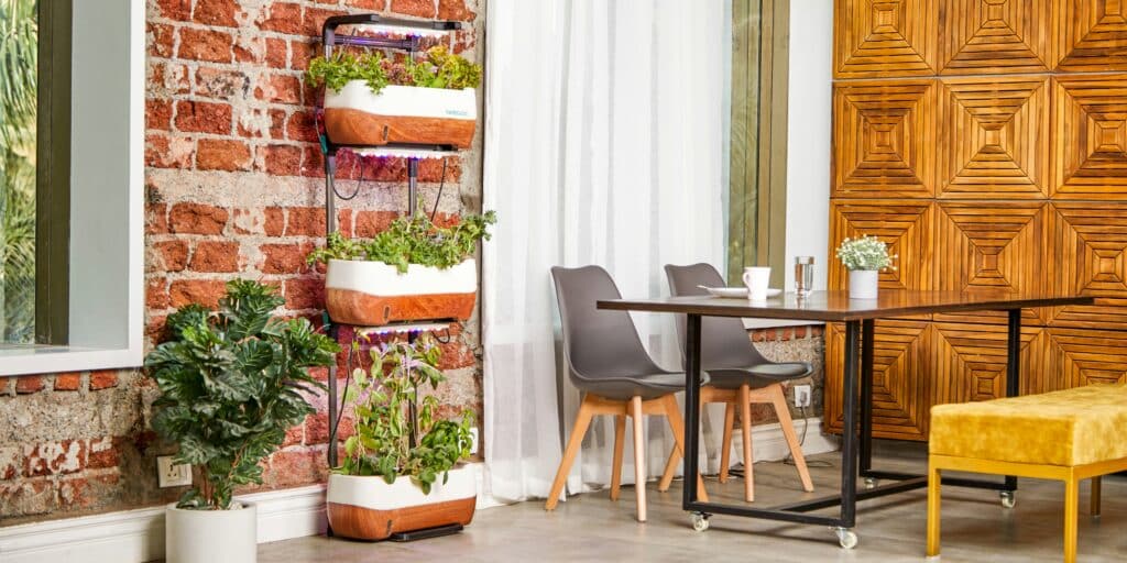 5 Innovative Ways To Grow Vegetables Indoors Without A Garden