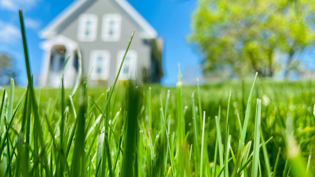The Importance Of Proper Lawn Maintenance