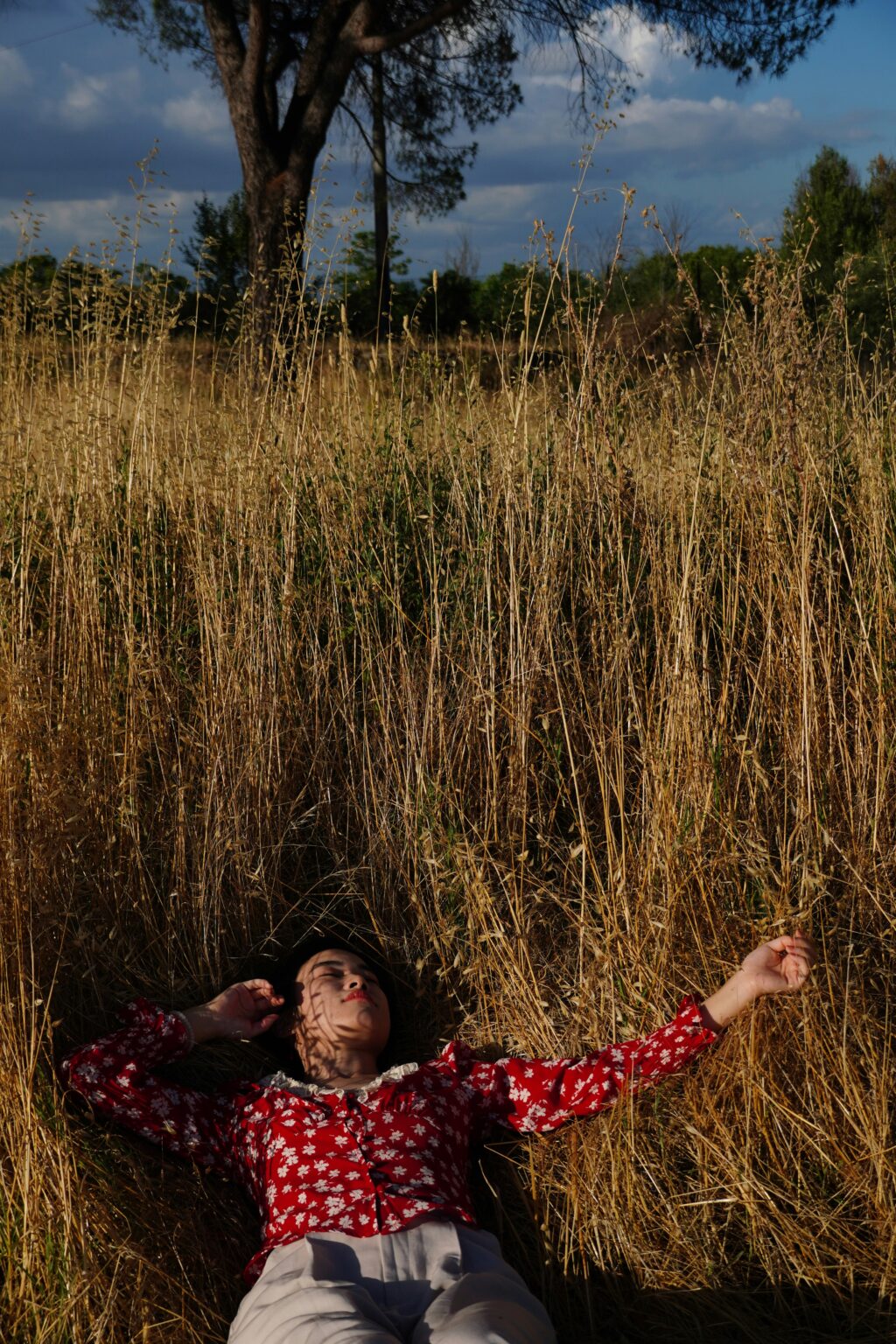 Magic truffles journey inner discoveries Magic truffles journey inner discoveries