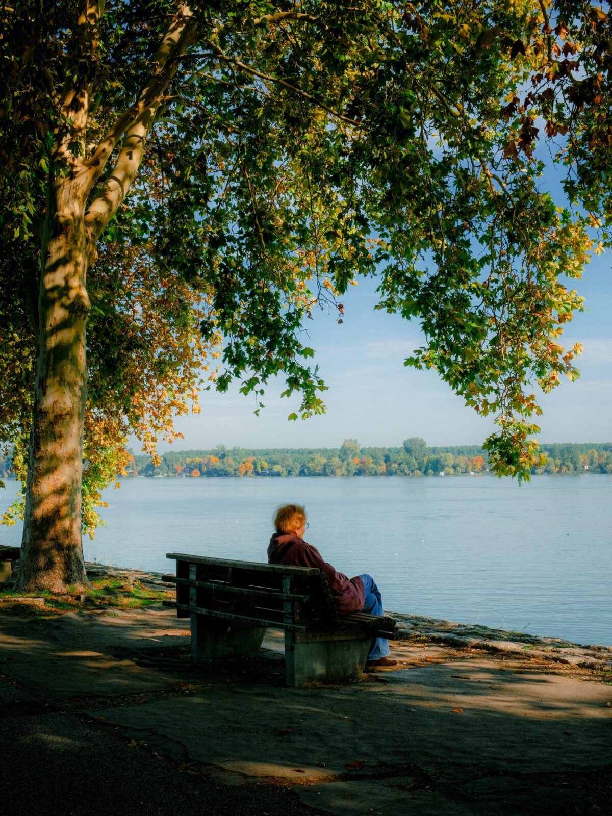 How Aging Leads To Isolation: Main Factors For Older Adults Footer image