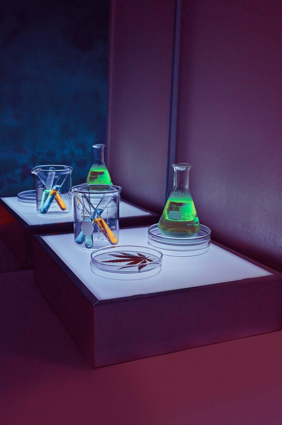 Assessing Quality And Purity In Bulk Peptide Suppliers And Retail Outlets Footer image