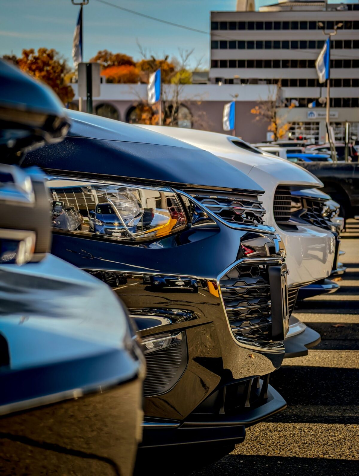 Guide To Resolving Disputes And Your Protections With Car Rental Aggregators Like EconomyBookings Footer image